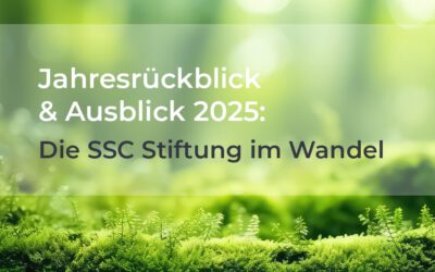 Jahresrückblick und Ausblick 2025: Die SSC Stiftung im Wandel