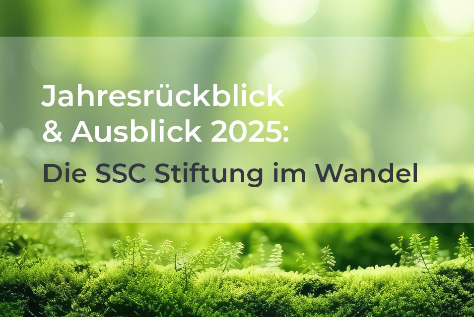 Jahresrückblick und Ausblick 2025: Die SSC Stiftung im Wandel