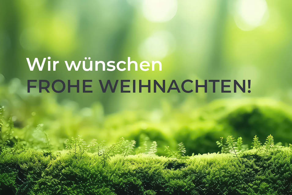 2025 – ein Jahr voller bewegender Momente